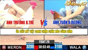TRẬN 29 CPC3 1/5/2025