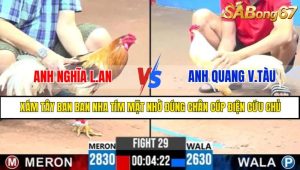 TRẬN 29 CPC3 12/5/2025