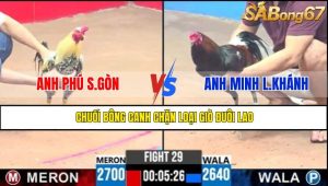 TRẬN 29 CPC3 2/5/2025