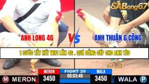 TRẬN 29 CPC3 7/5/2025