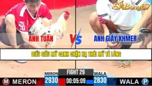 TRẬN 29 CPC3 8/5/2025
