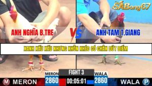 TRẬN 3 C3 21/05/2025