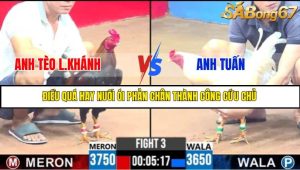 TRẬN 3 C3 22/05/2025