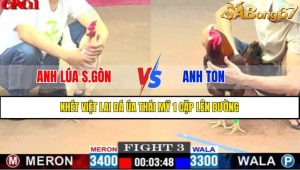 TRẬN 3 CPC1 1/5/2025
