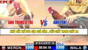 TRẬN 3 CPC2 2/5/2025