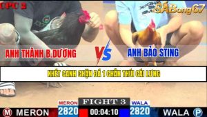 TRẬN 3 CPC2 4/5/2025