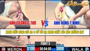 TRẬN 3 CPC3 1/5/2025