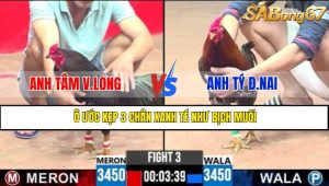 TRẬN 3 CPC3 13/5/2025