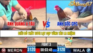 TRẬN 3 CPC3 7/5/2025