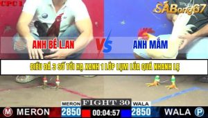 TRẬN 30 C1 29/05/2025