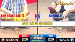 TRẬN 30 C3 18/5/2025