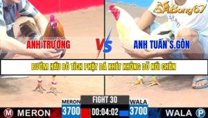TRẬN 30 C3 22/05/2025