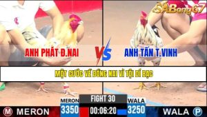TRẬN 30 CPC3 11/5/2025