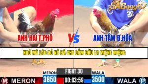 TRẬN 30 CPC3 13/5/2025