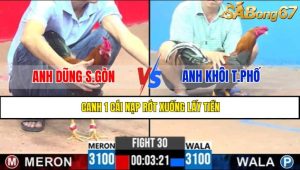 TRẬN 30 CPC3 6/5/2025