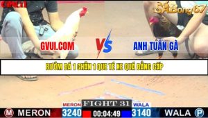 TRẬN 31 C1 17/5/2025