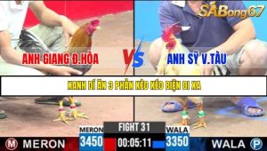 TRẬN 31 C3 17/5/2025