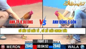 TRẬN 31 CPC3 10/5/2025