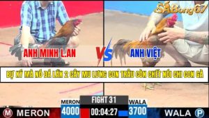TRẬN 31 CPC3 2/5/2025