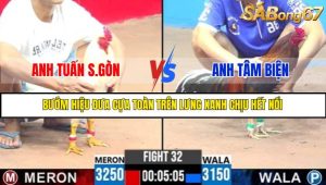 TRẬN 32 C3 22/05/2025