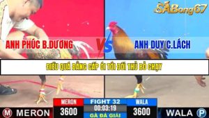 TRẬN 32 C3 31/5/2025