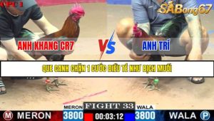 TRẬN 33 C1 24/05/2025