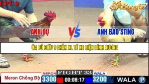 TRẬN 33 C2 16/5/2025