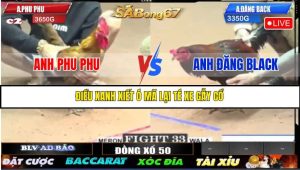 TRẬN 33 CPC2 23/05/2025
