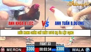 TRẬN 33 CPC3 1/5/2025