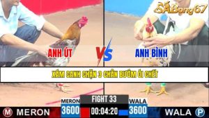 TRẬN 33 CPC3 2/5/2025