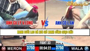 TRẬN 33 CPC3 7/5/2025