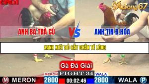 TRẬN 34 C1 15/5/2025