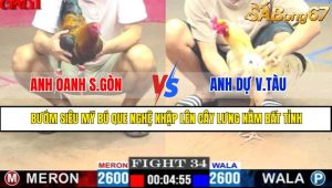 TRẬN 34 CPC1 12/5/2025