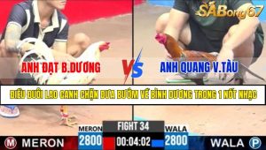 TRẬN 34 CPC3 12/5/2025