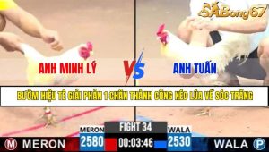 TRẬN 34 CPC3 13/5/2025