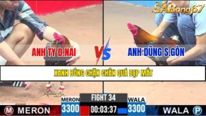 TRẬN 34 CPC3 6/5/2025