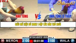 TRẬN 35 C1 24/05/2025