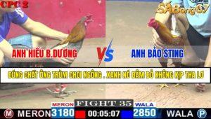 TRẬN 35 CPC2 4/5/2025