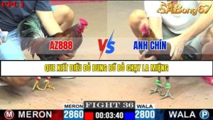 TRẬN 36 C1 24/05/2025