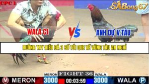 TRẬN 36 C1 29/05/2025