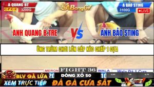 TRẬN 36 C2 16/5/2025