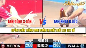 TRẬN 36 CPC3 1/5/2025