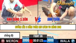 TRẬN 36 CPC3 8/5/2025