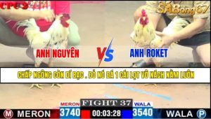 TRẬN 37 CPC2 2/5/2025