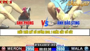 TRẬN 37 CPC2 9/5/2025