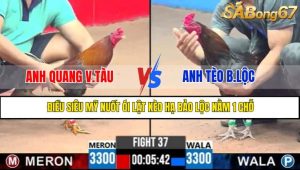 TRẬN 37 CPC3 7/5/2025