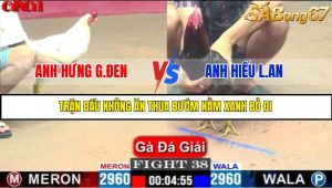 TRẬN 38 C1 15/5/2025