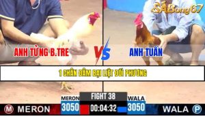 TRẬN 38 CPC3 8/5/2025