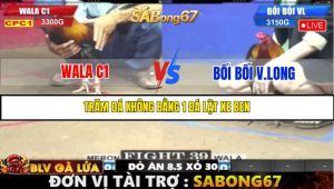 TRẬN 39 C1 29/05/2025