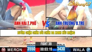 TRẬN 39 CPC3 1/5/2025